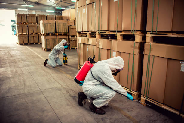 Best Wasp Removal Services  in Abernathy, TX