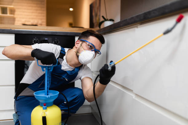 Best Cockroach Control Services  in Abernathy, TX
