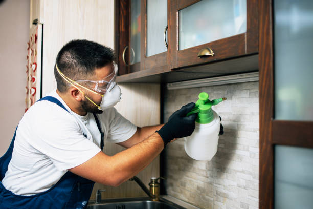 Flea Control Services in Abernathy, TX