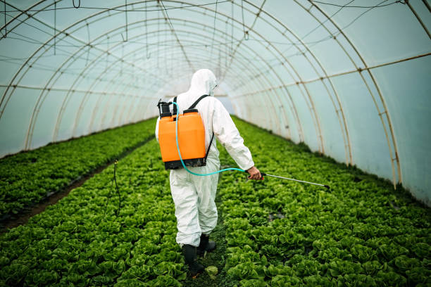 Best Local Pest Control Services  in Abernathy, TX
