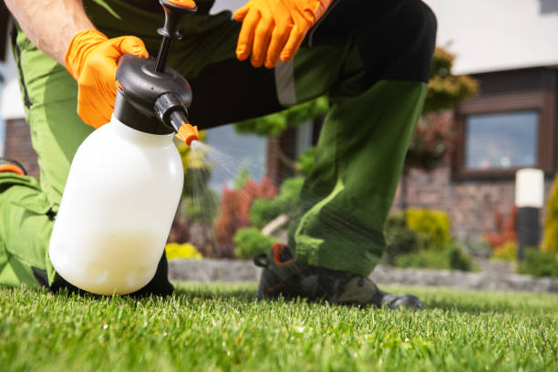 Best Affordable Pest Control Services  in Abernathy, TX
