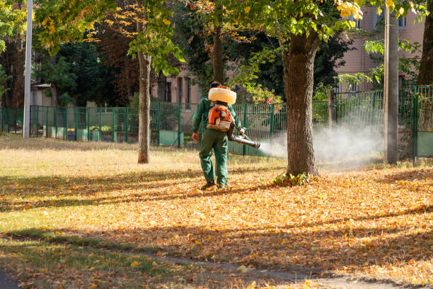 Best Bed Bug Extermination  in Abernathy, TX
