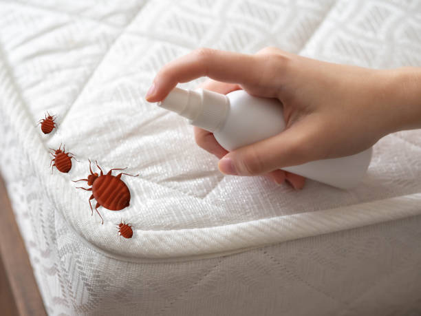 Best Best Pest Control Companies  in Abernathy, TX