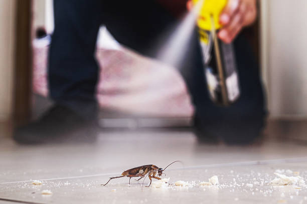 Best Pest Removal Services  in Abernathy, TX
