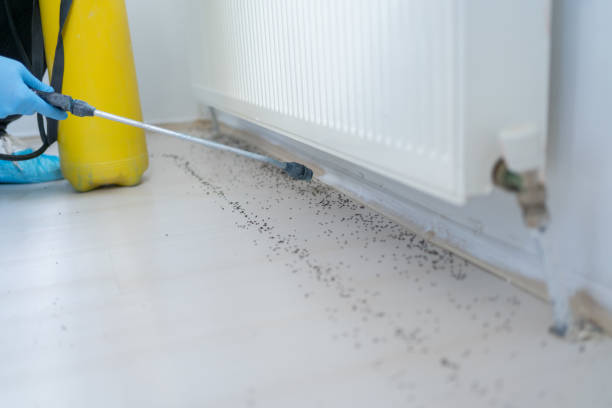 Best Pest Control Near Me in Abernathy, TX