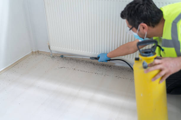 Best Affordable Pest Control Services  in Abernathy, TX