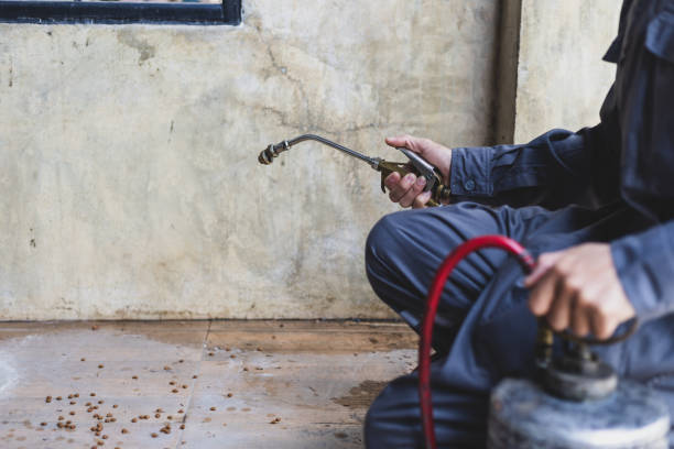 Best Pest Control Near Me in Abernathy, TX