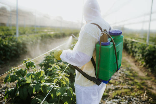 Best Flea Control Services  in Abernathy, TX